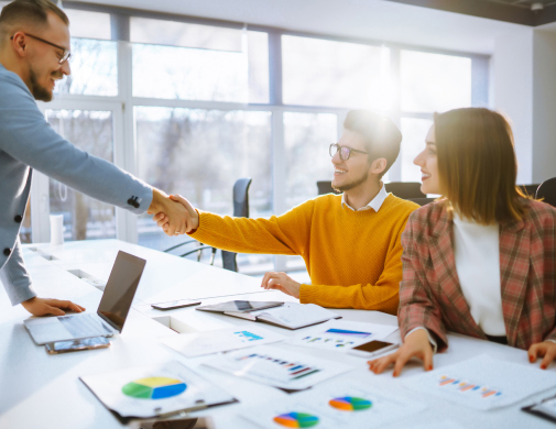 Schema & Entity Optimization Strategy