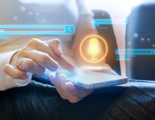 Voice Search Optimization