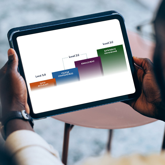 Elevate Local Search with Milestone’s Expertise